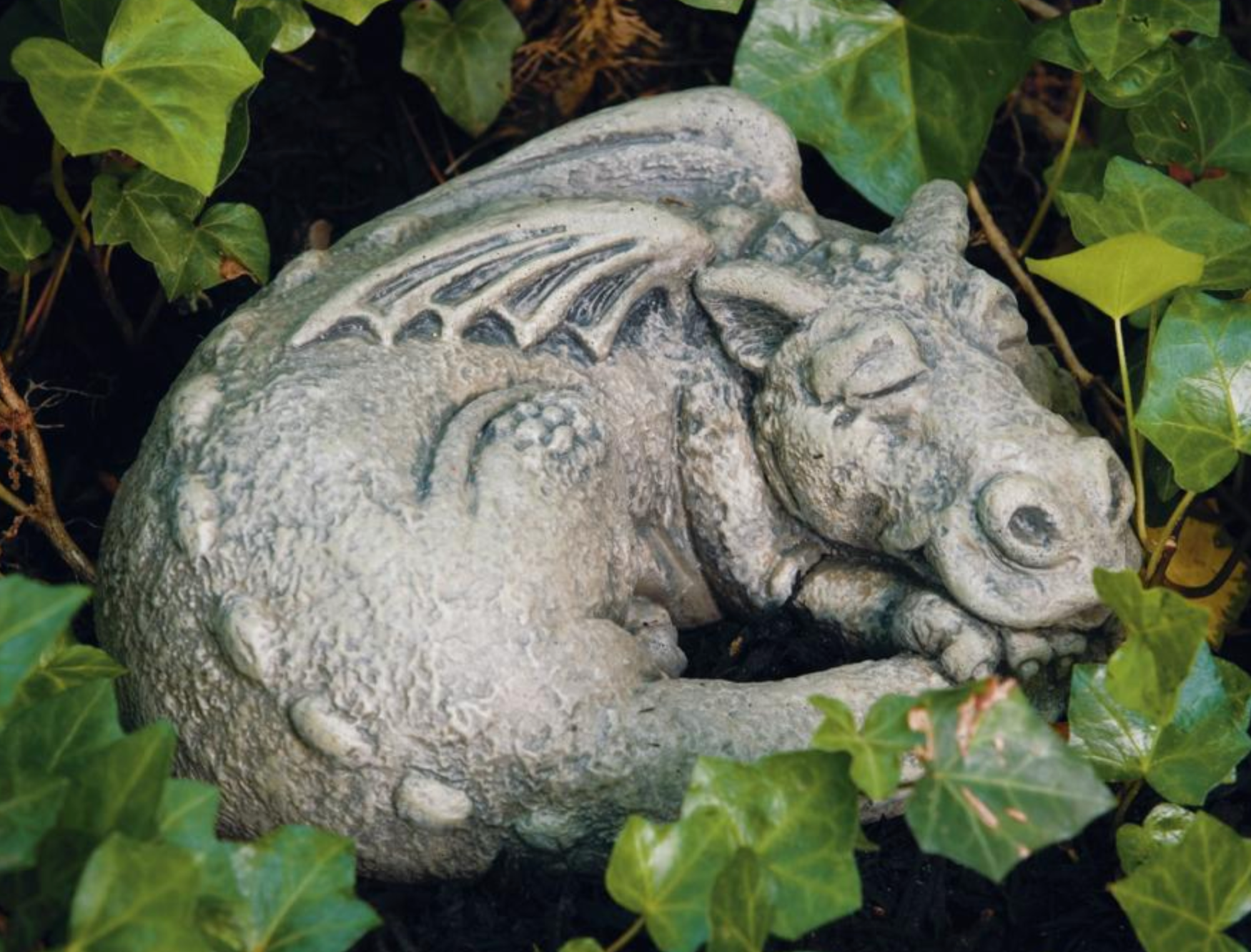 Lil Dragon - Snooze – Massarelli Lawn Ornaments
