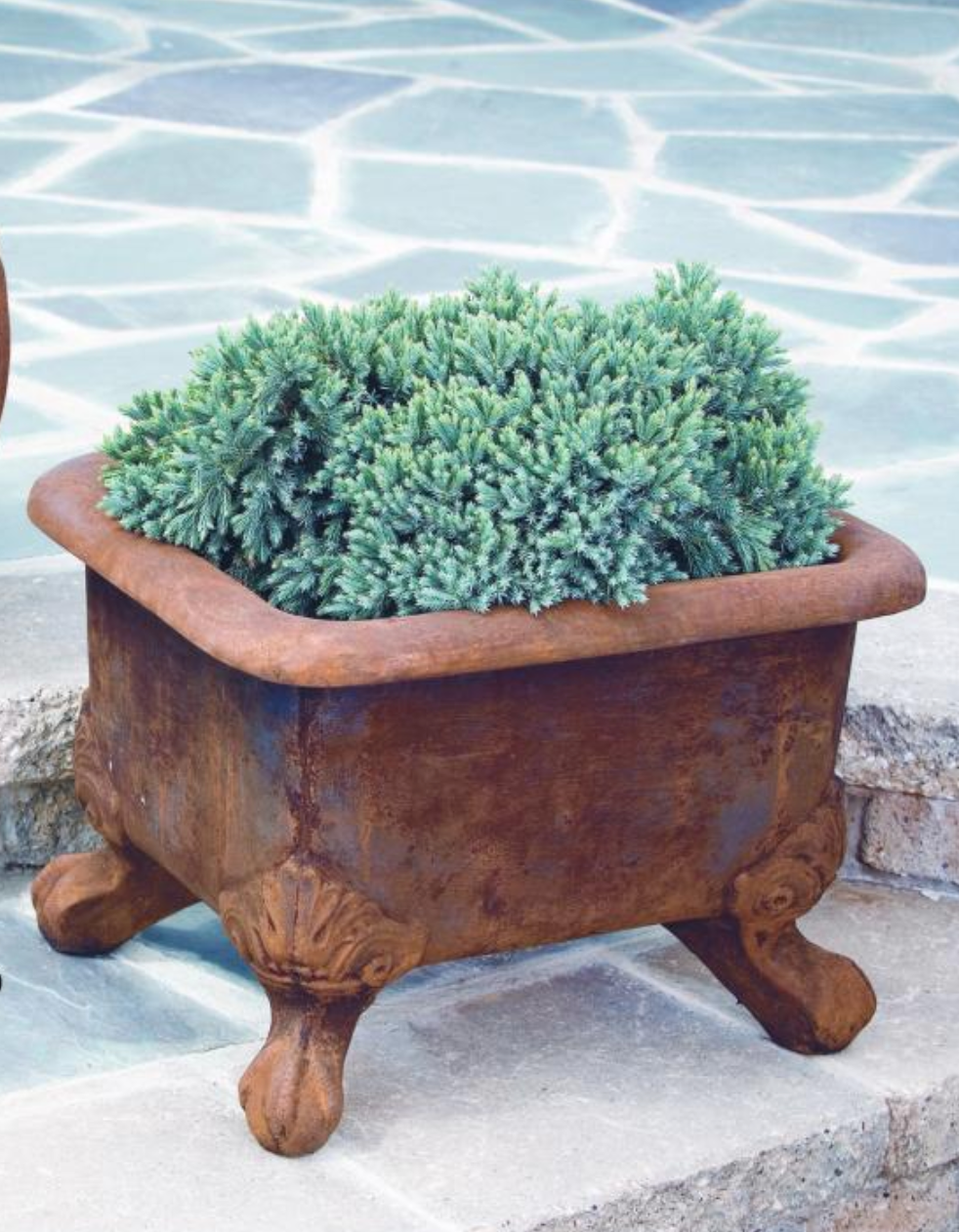 ceramic outdoor planter pots 15" Basin Planter With Feet – Massarelli Lawn Ornaments