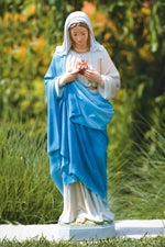 
      Devotional
      