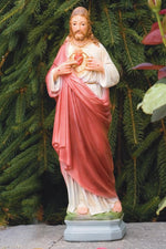 
      Devotional
      