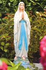 
      Devotional
      