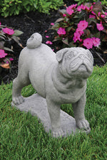 
      15" Pug
      