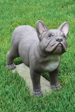 
      18" French Bulldog
      
