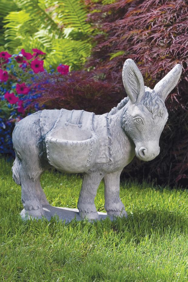 Donkey And Packs
