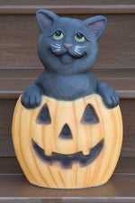 
      Contemporary Pumpkin & Cat
      
