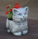Urns & Planters