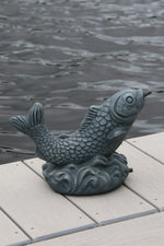 
      Small Curling Carp
      