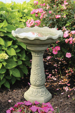 
      Wild Flower Bird Bath
      
