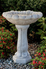 
      Bird Baths
      