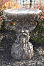
      Bird Baths
      