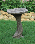 
      Bird Baths
      