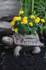 Urns & Planters