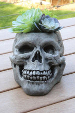 Urns & Planters