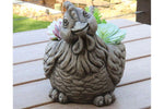 Urns & Planters