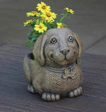 Urns & Planters