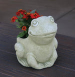 Urns & Planters