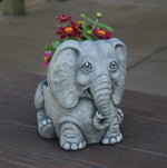 Urns & Planters