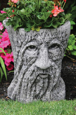 Urns & Planters