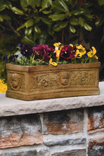 Urns & Planters