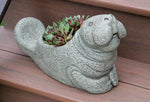 
      Marco The Manatee Planter
      