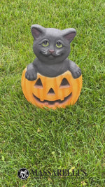 
      Contemporary Pumpkin & Cat
      