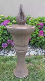 
      Fountainette - Garden Glow
      