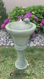 
      Fountainette - Frog
      