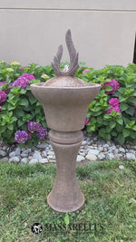 
      Fountainette - Petal Point
      