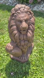
      27" Lion With Shield - Right
      