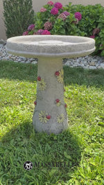 
      Ladybug Bird Bath
      