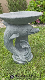 
      One Piece Dolphin Bird Bath
      