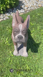 
      29" Boxer
      