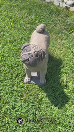
      15" Pug
      
