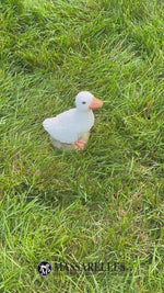 
      Baby Goose
      